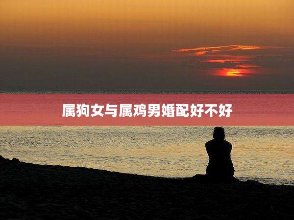 属狗女与属鸡男婚配好不好