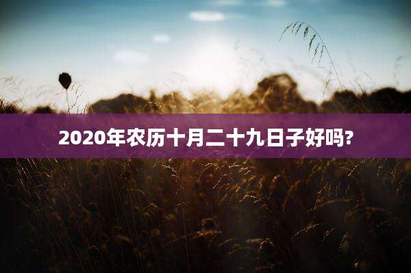 2020年农历十月二十九日子好吗?