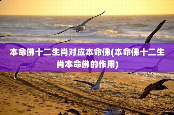 本命佛十二生肖对应本命佛(本命佛十二生肖本命佛的作用)