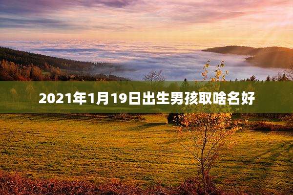 2021年1月19日出生男孩取啥名好