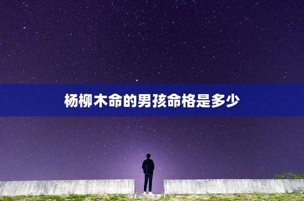 杨柳木命的男孩命格是多少