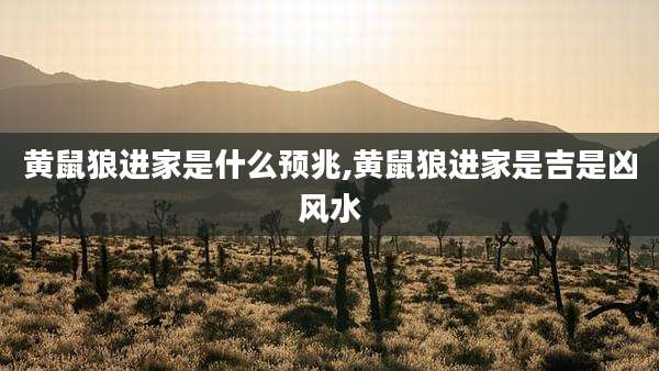 黄鼠狼进家是什么预兆,黄鼠狼进家是吉是凶风水