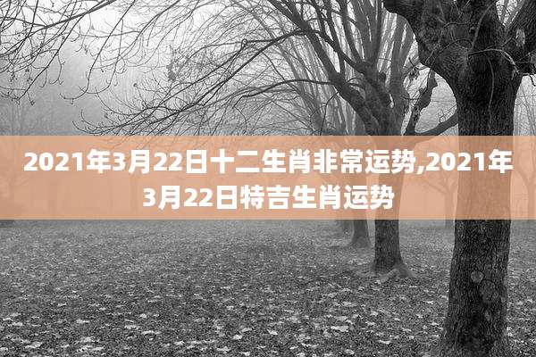 2021年3月22日十二生肖非常运势,2021年3月22日特吉生肖运势
