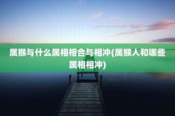 属猴与什么属相相合与相冲(属猴人和哪些属相相冲)
