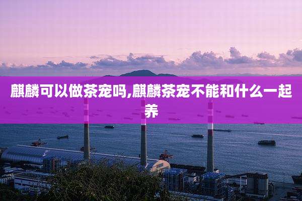 麒麟可以做茶宠吗,麒麟茶宠不能和什么一起养
