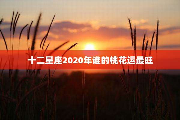 十二星座2020年谁的桃花运最旺