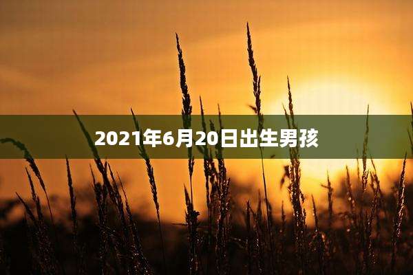 2021年6月20日出生男孩