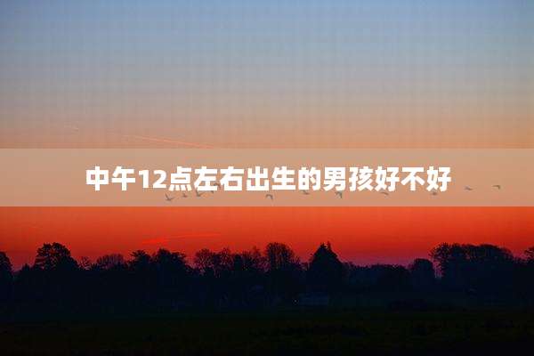 中午12点左右出生的男孩好不好