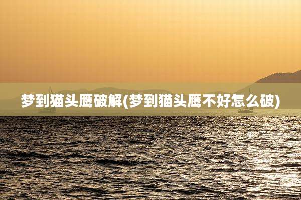 梦到猫头鹰破解(梦到猫头鹰不好怎么破)