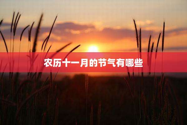 农历十一月的节气有哪些