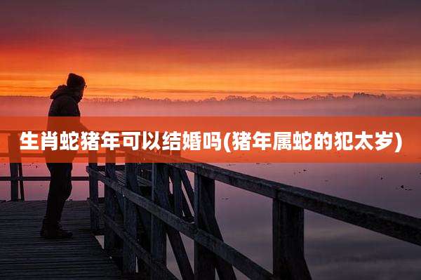 生肖蛇猪年可以结婚吗(猪年属蛇的犯太岁)