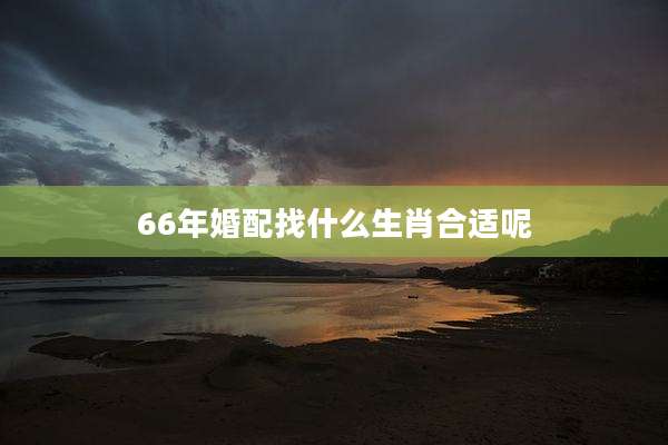 66年婚配找什么生肖合适呢