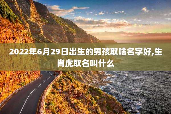 2022年6月29日出生的男孩取啥名字好,生肖虎取名叫什么