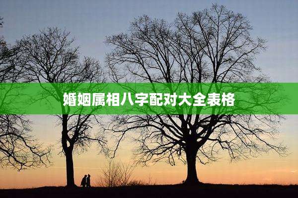 婚姻属相八字配对大全表格