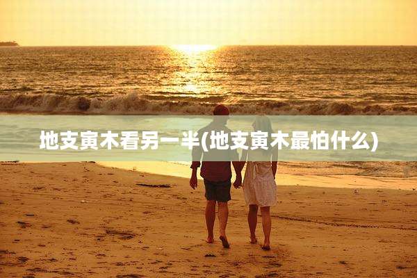 地支寅木看另一半(地支寅木最怕什么)
