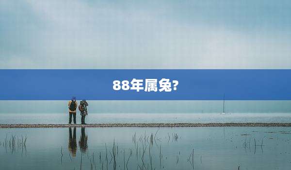 88年属兔?