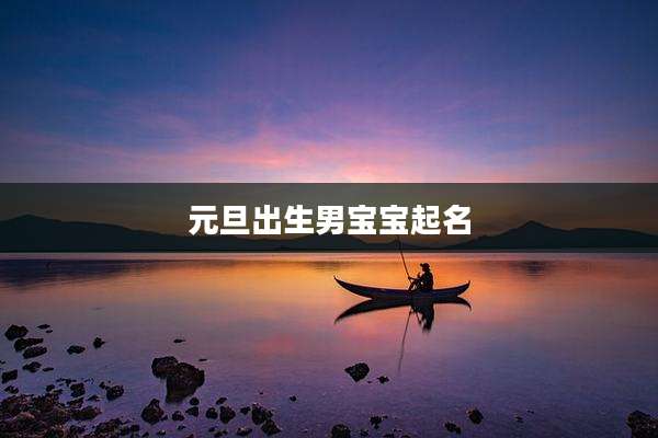 元旦出生男宝宝起名