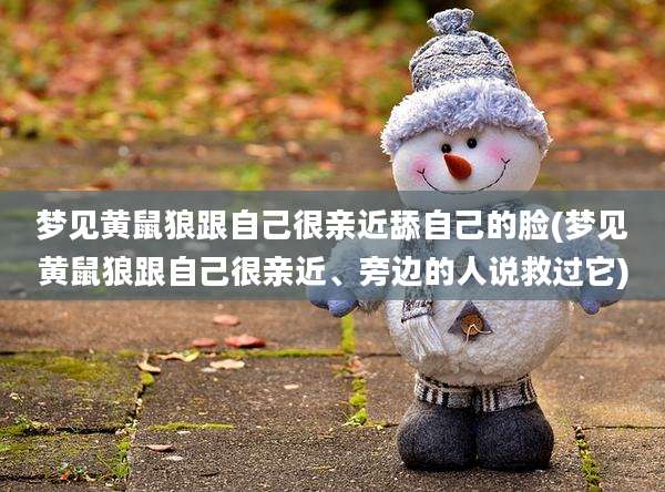 梦见黄鼠狼跟自己很亲近舔自己的脸(梦见黄鼠狼跟自己很亲近、旁边的人说救过它)