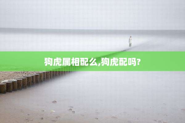 狗虎属相配么,狗虎配吗?