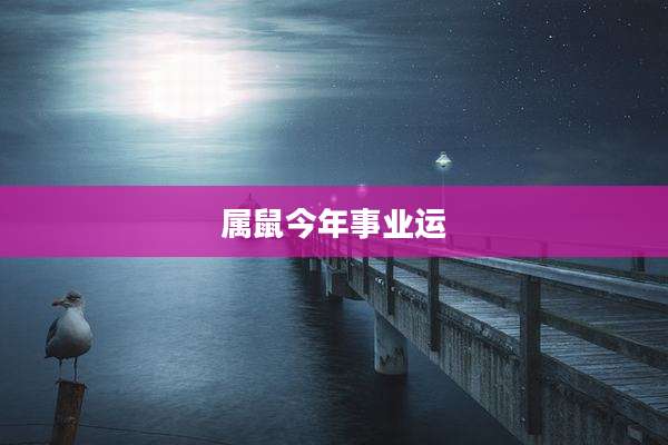 属鼠今年事业运