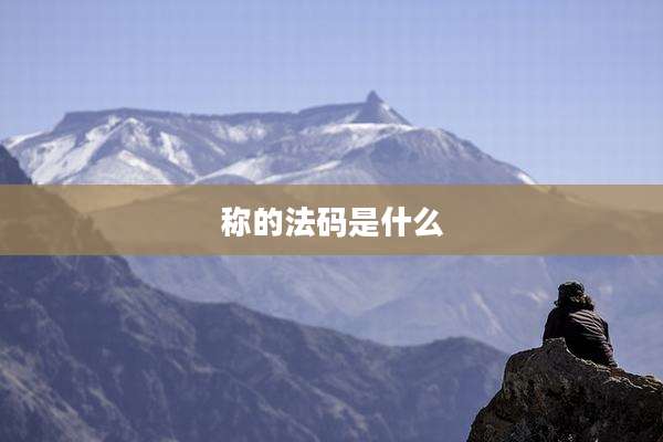 称的法码是什么