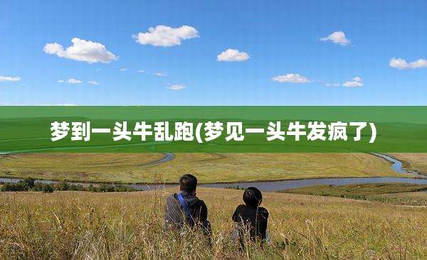 梦到一头牛乱跑(梦见一头牛发疯了)