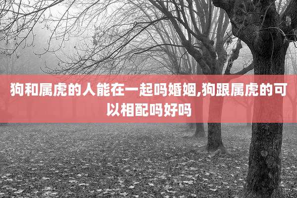 狗和属虎的人能在一起吗婚姻,狗跟属虎的可以相配吗好吗