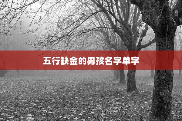 五行缺金的男孩名字单字
