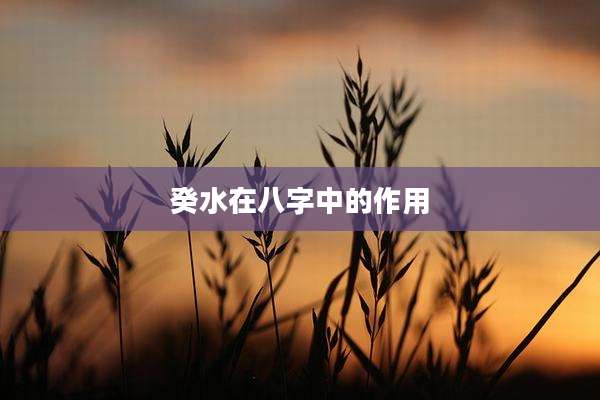 癸水在八字中的作用