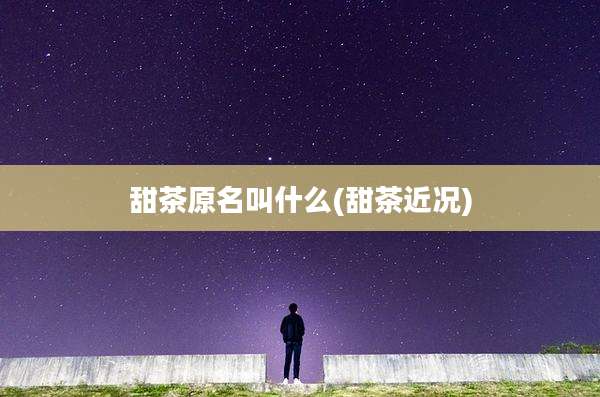 甜茶原名叫什么(甜茶近况)