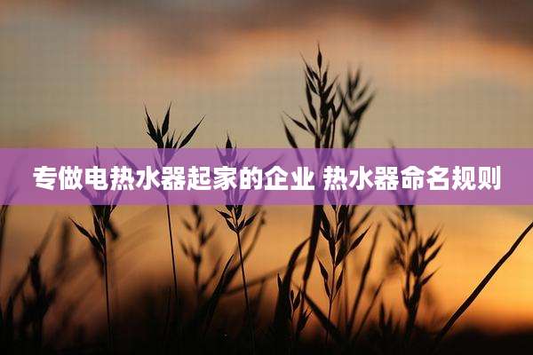 专做电热水器起家的企业 热水器命名规则