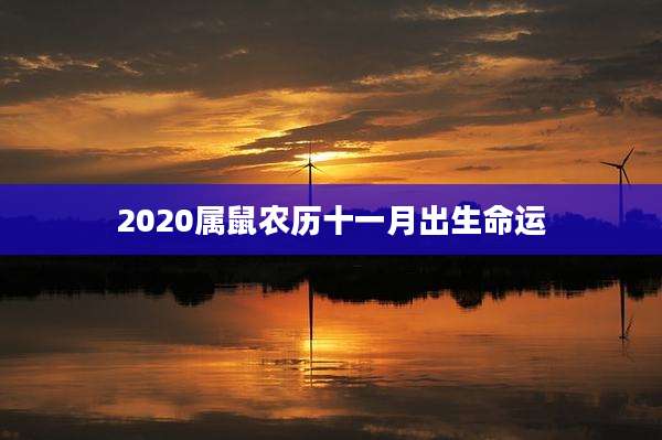 2020属鼠农历十一月出生命运