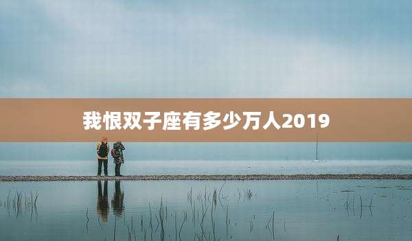 我恨双子座有多少万人2019