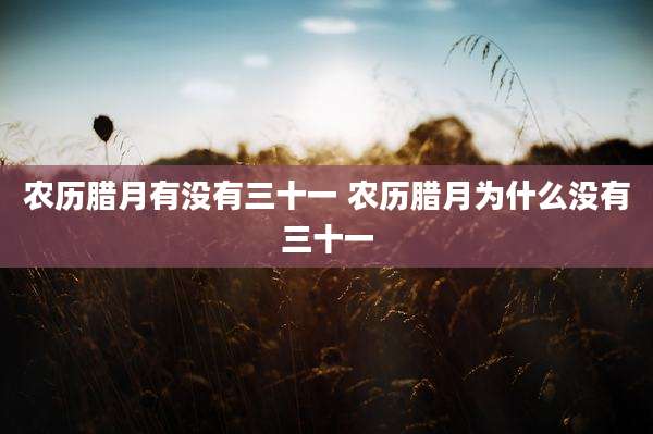农历腊月有没有三十一 农历腊月为什么没有三十一
