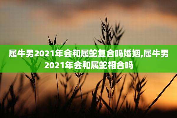 属牛男2021年会和属蛇复合吗婚姻,属牛男2021年会和属蛇相合吗