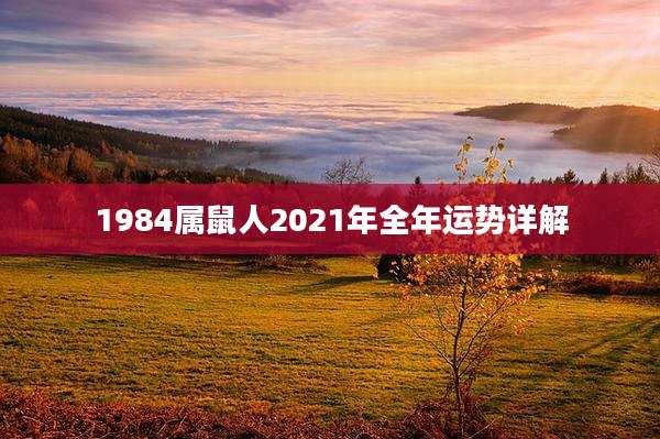 1984属鼠人2021年全年运势详解