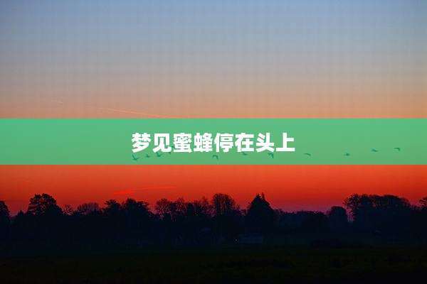梦见蜜蜂停在头上