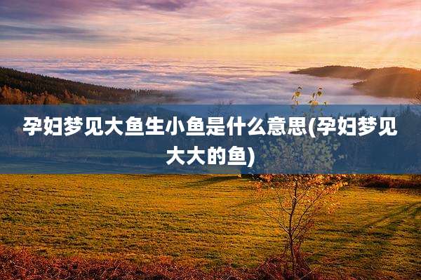 孕妇梦见大鱼生小鱼是什么意思(孕妇梦见大大的鱼)