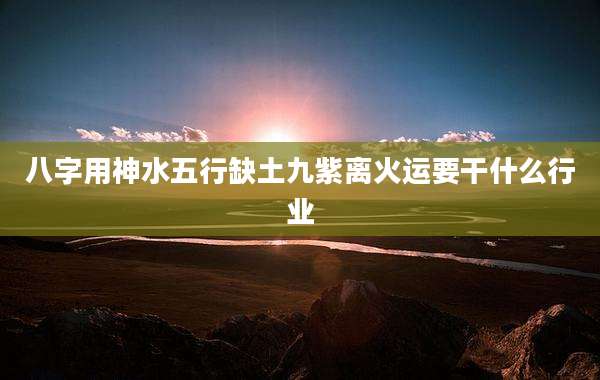 八字用神水五行缺土九紫离火运要干什么行业
