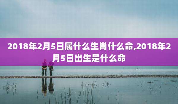 2018年2月5日属什么生肖什么命,2018年2月5日出生是什么命