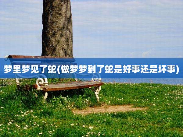 梦里梦见了蛇(做梦梦到了蛇是好事还是坏事)