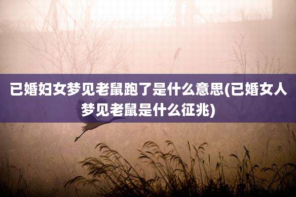 已婚妇女梦见老鼠跑了是什么意思(已婚女人梦见老鼠是什么征兆)