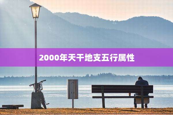 2000年天干地支五行属性