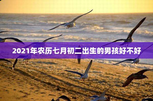 2021年农历七月初二出生的男孩好不好