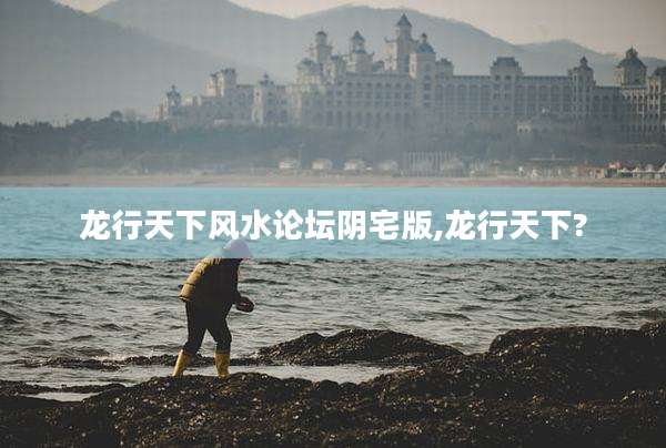 龙行天下风水论坛阴宅版,龙行天下?