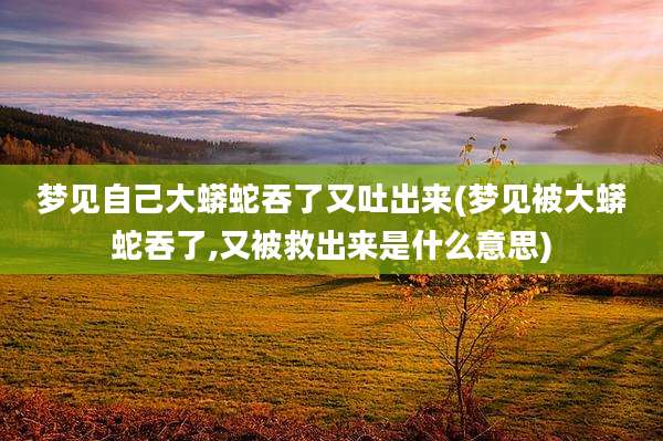 梦见自己大蟒蛇吞了又吐出来(梦见被大蟒蛇吞了,又被救出来是什么意思)
