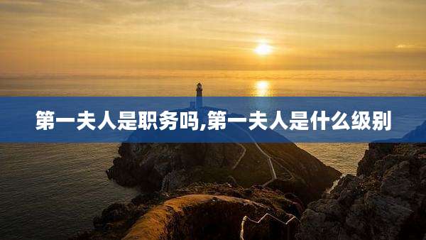 第一夫人是职务吗,第一夫人是什么级别