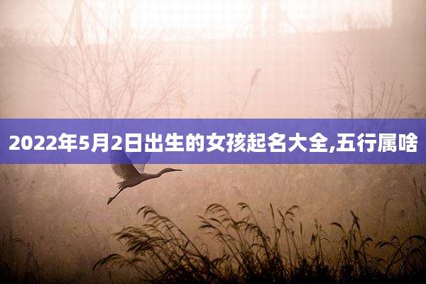 2022年5月2日出生的女孩起名大全,五行属啥