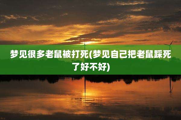 梦见很多老鼠被打死(梦见自己把老鼠踩死了好不好)