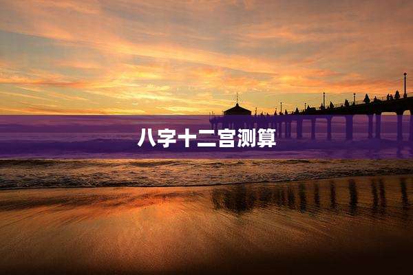 八字十二宫测算